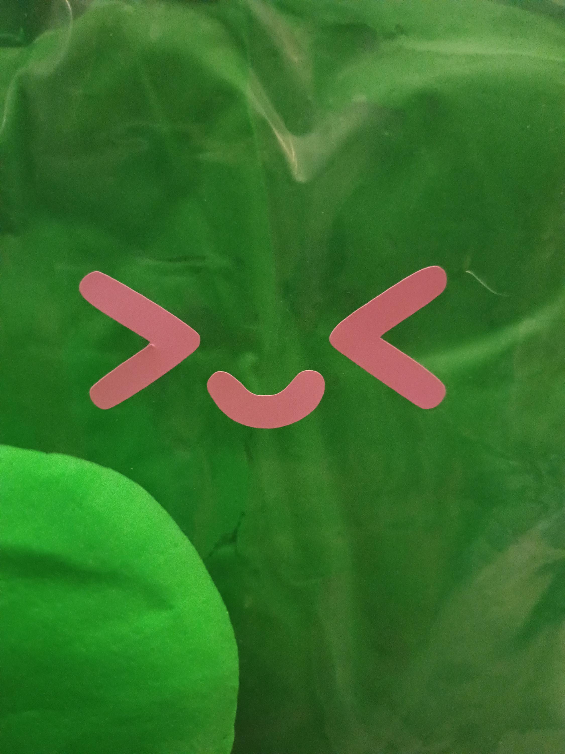 FIRM 100grams GREEN air dry foam clay